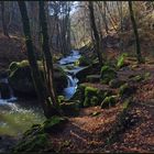 Vorfrühling im Müllerthal