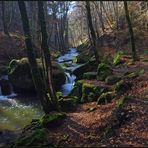 Vorfrühling im Müllerthal