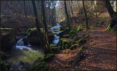 Vorfrühling im Müllerthal