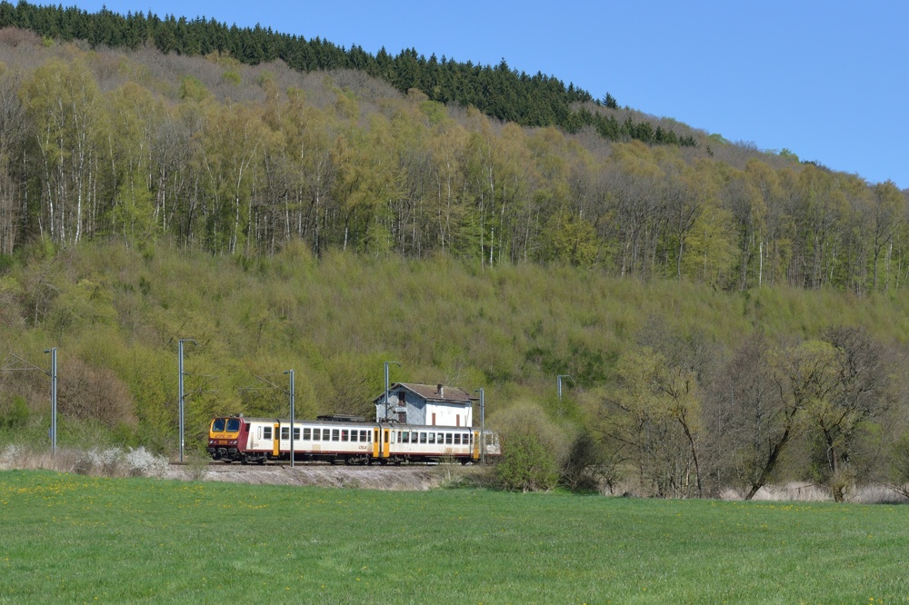 Vorfrühling im Ösling