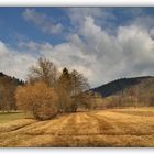 Vorfrühling im Park