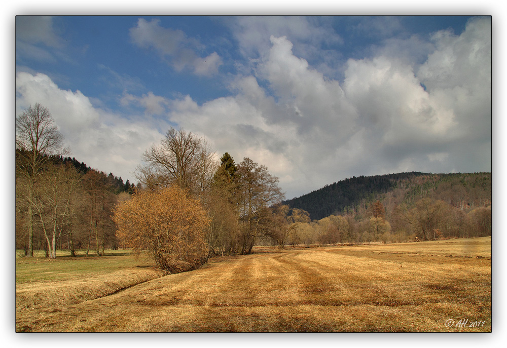 Vorfrühling im Park