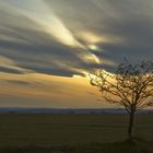 Vorfrühling im Seewinkel