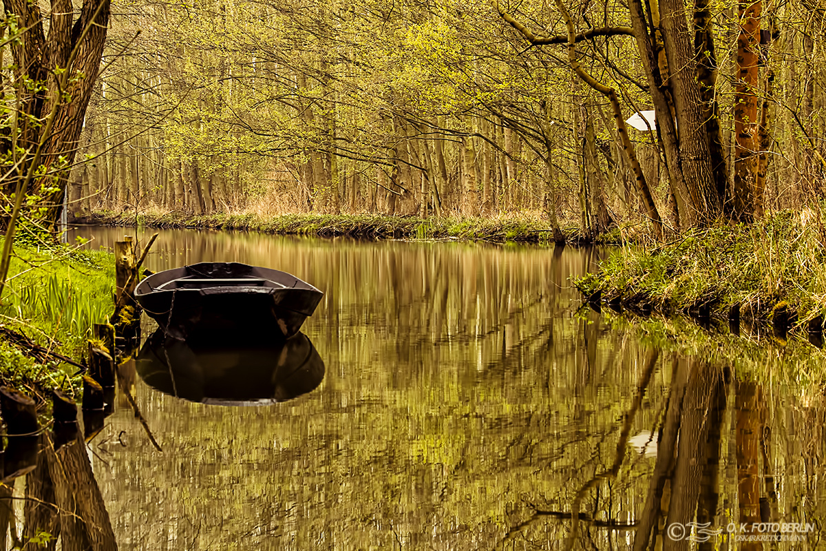 Vorfrühling im Spreewald