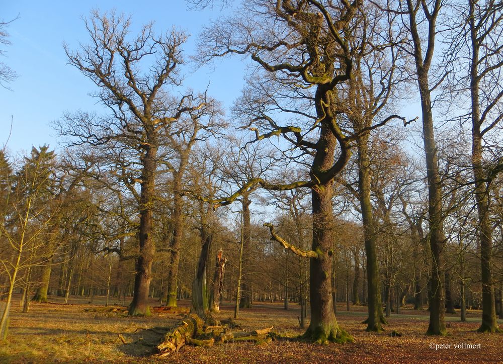 Vorfrühling im Tiergarten Hannover