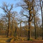 Vorfrühling im Tiergarten Hannover