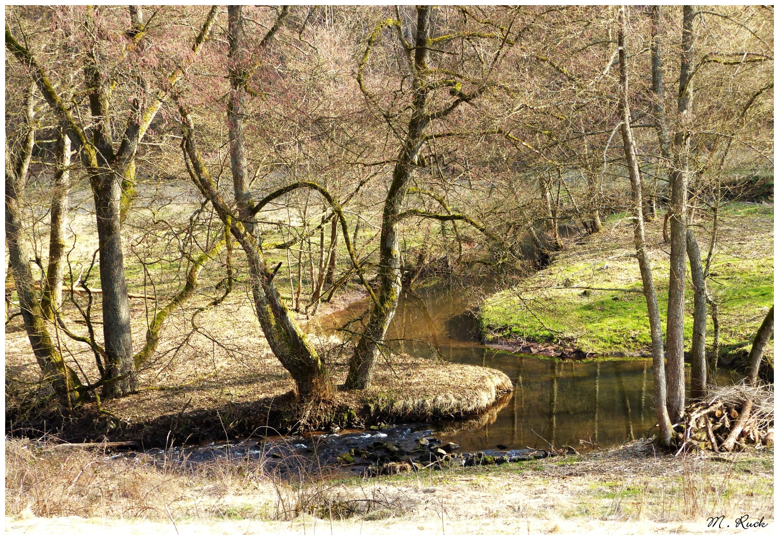 Vorfrühling im Wachengrund ,