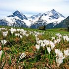 Vorfrühling im Weiler Burgstall 