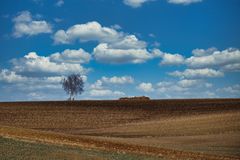 Vorfrühling im Weinviertel