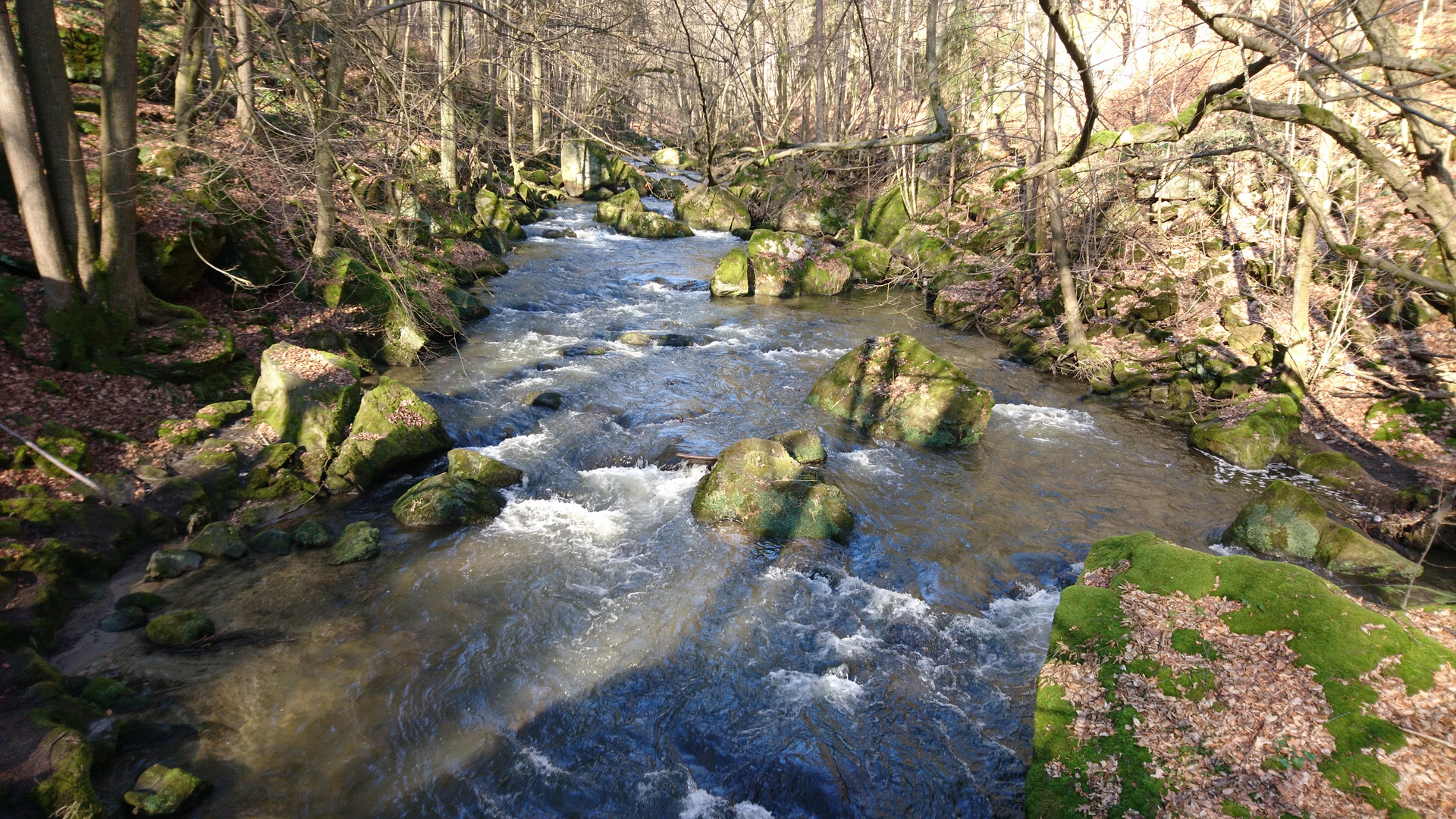 Vorfrühling im Wesenitz Tal