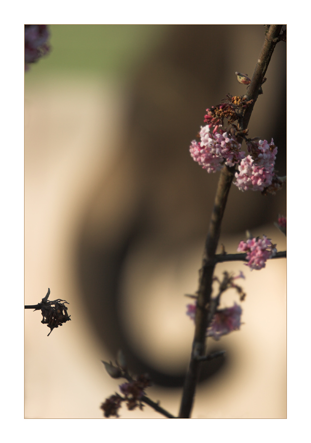 Vorfrühling im Zoo