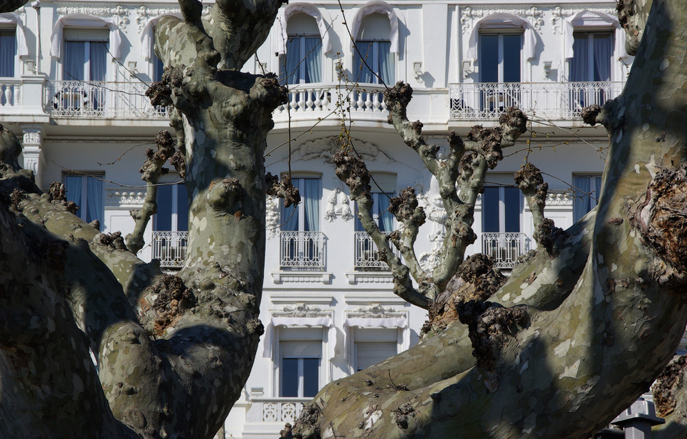 Vorfrühling in Cannes