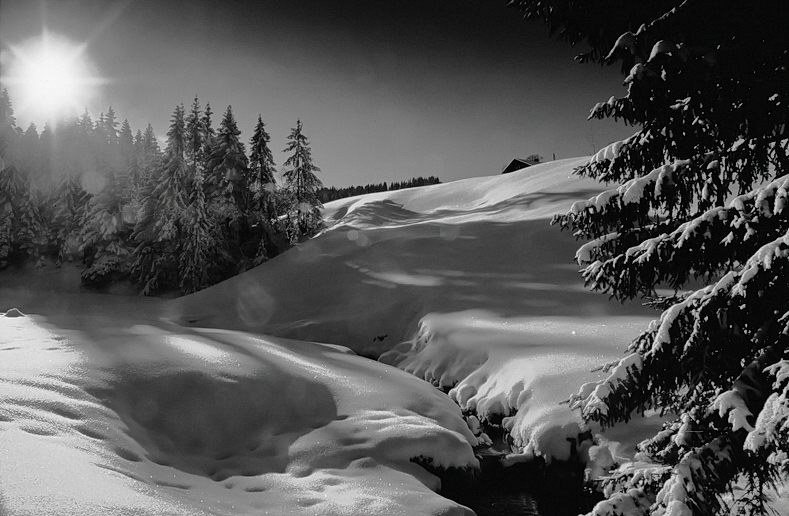 Vorfrühling in den Alpen...