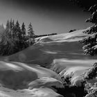 Vorfrühling in den Alpen...