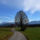 Vorfrühling in den Bergen