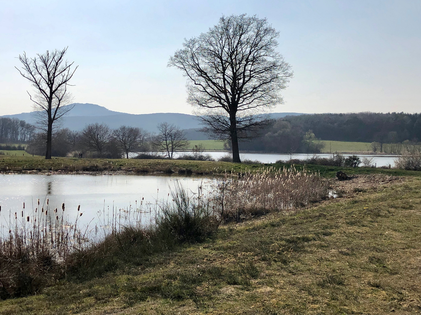 Vorfrühling in der Eifel