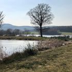 Vorfrühling in der Eifel