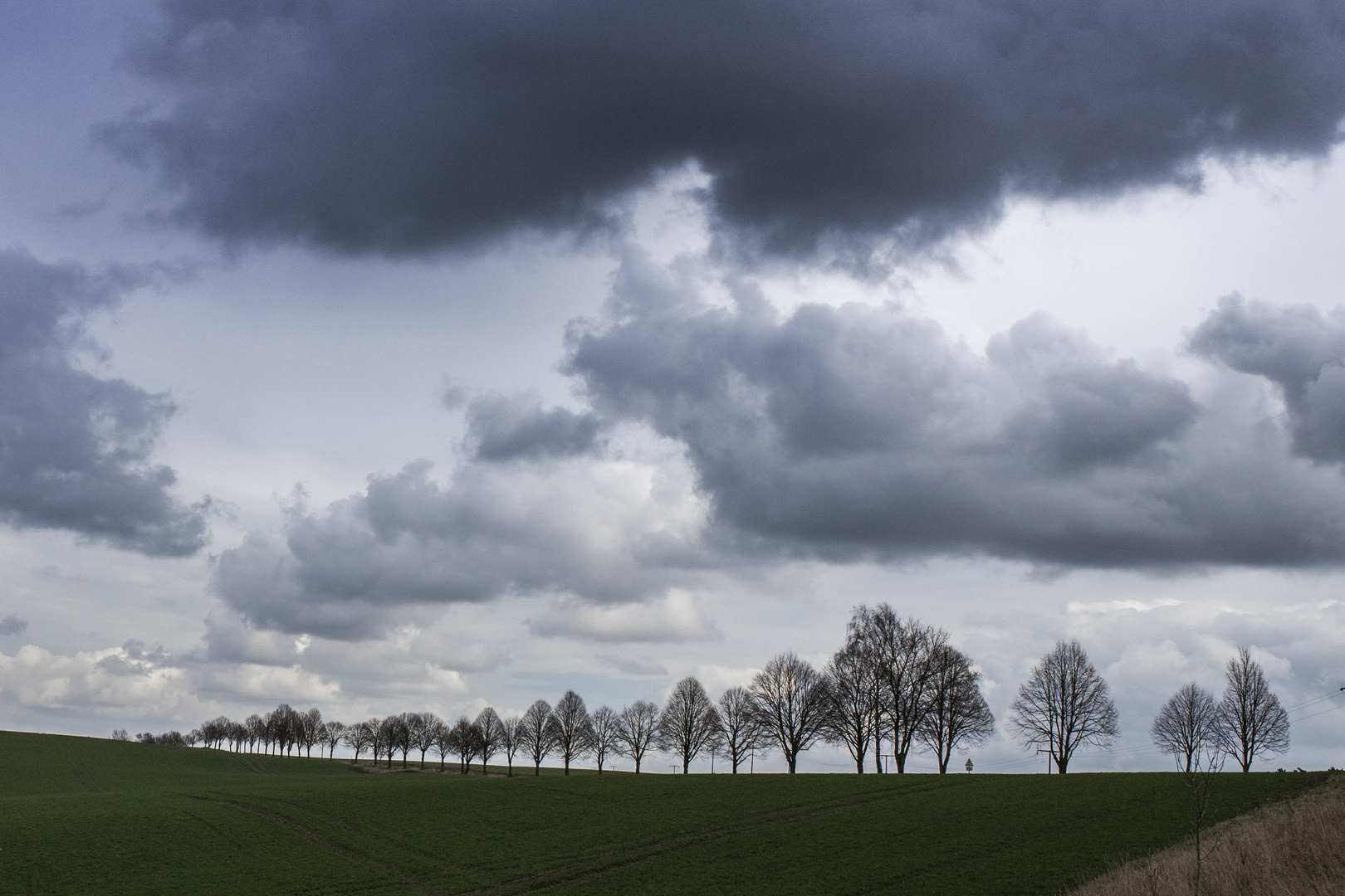 Vorfrühling in Mecklenburg