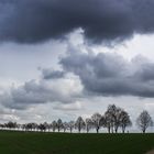 Vorfrühling in Mecklenburg