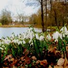 Vorfrühling in Oelde