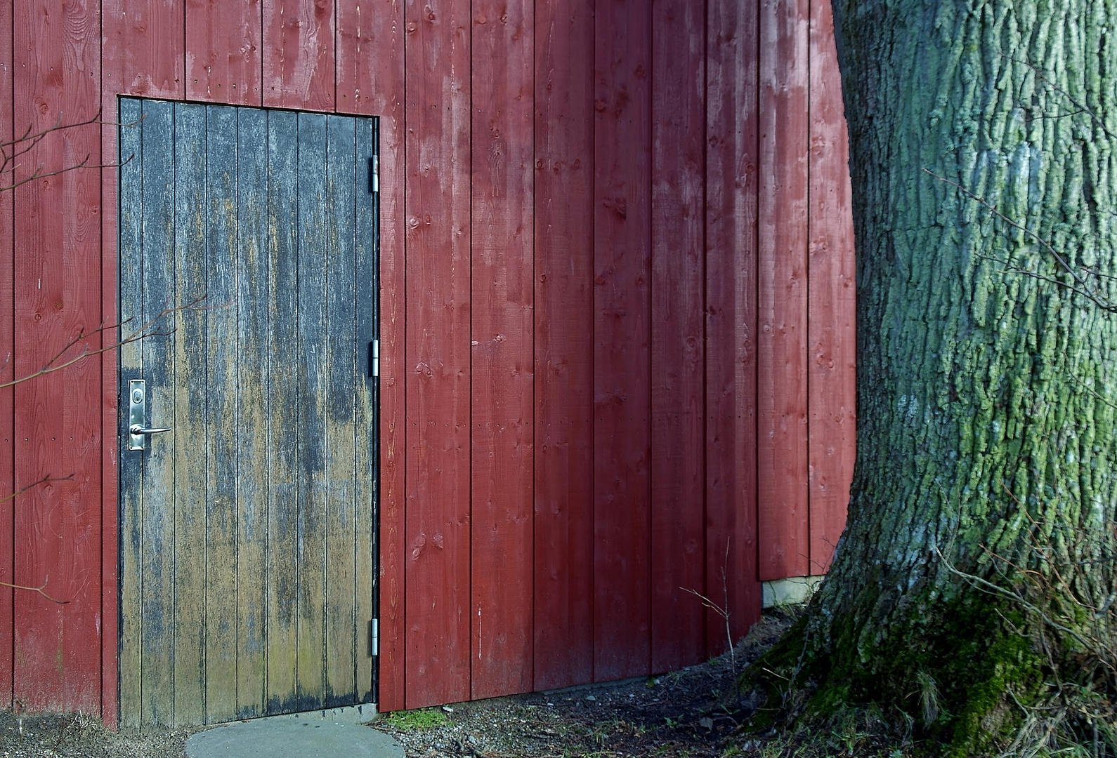 Vorfrühling in Padborg