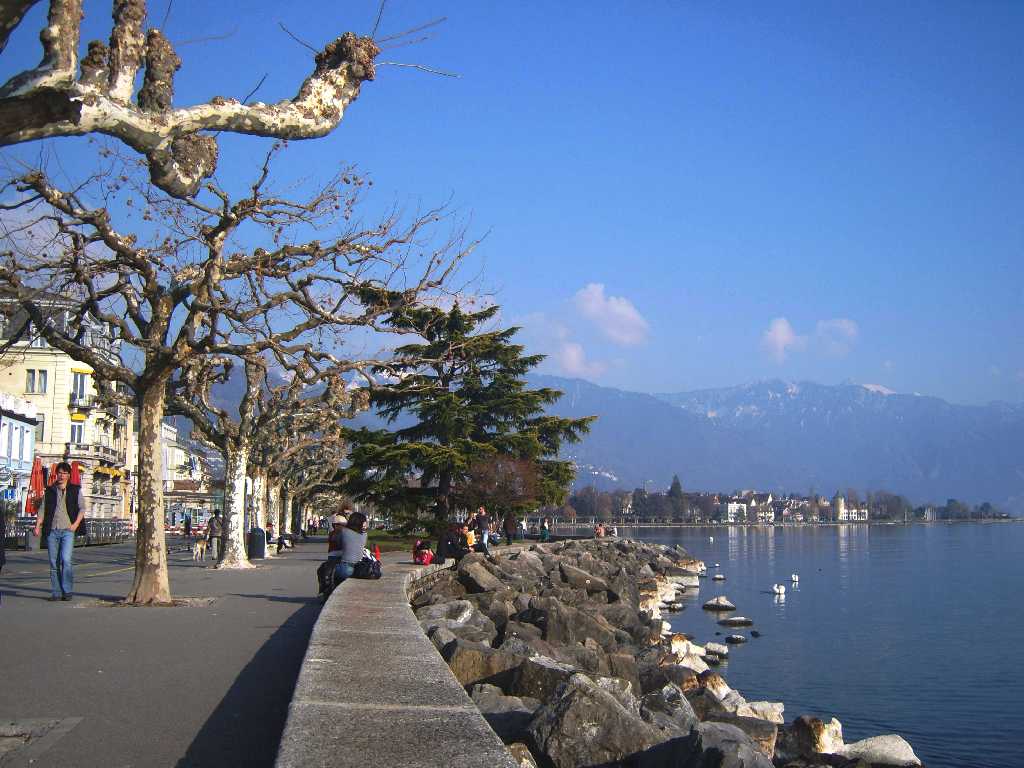 Vorfrühling in Vevey