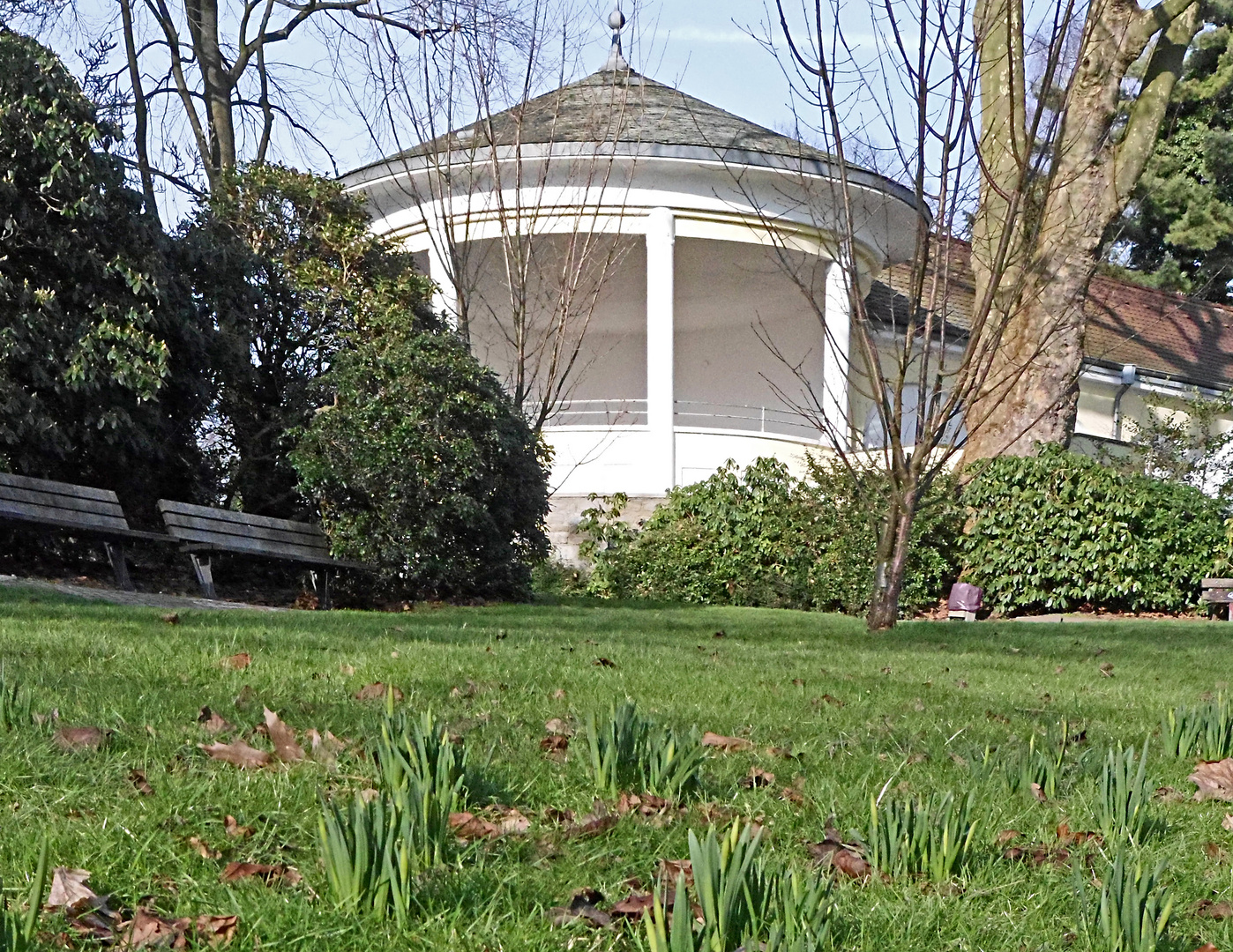 Vorfrühling Mitte Februar