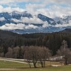 Vorfrühling schon Ende Februar