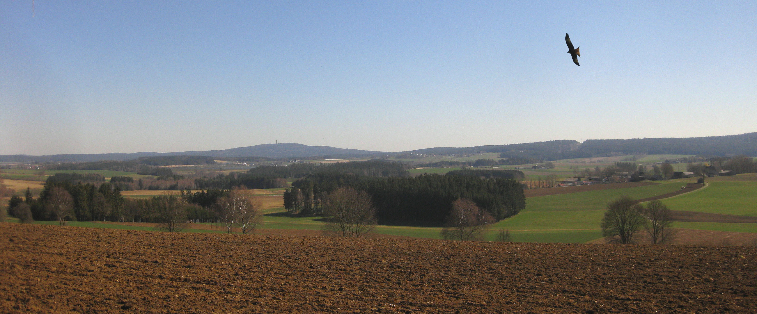 Vorfrühlingsblick zum Kornberg