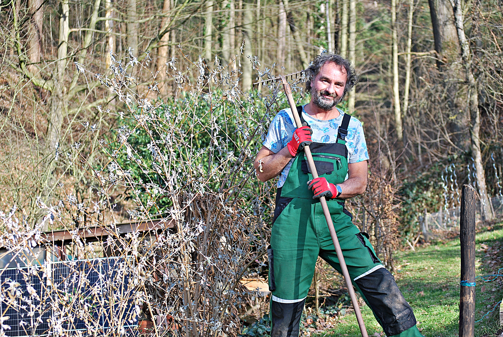 Vorfrühlingsgartenfeeling...