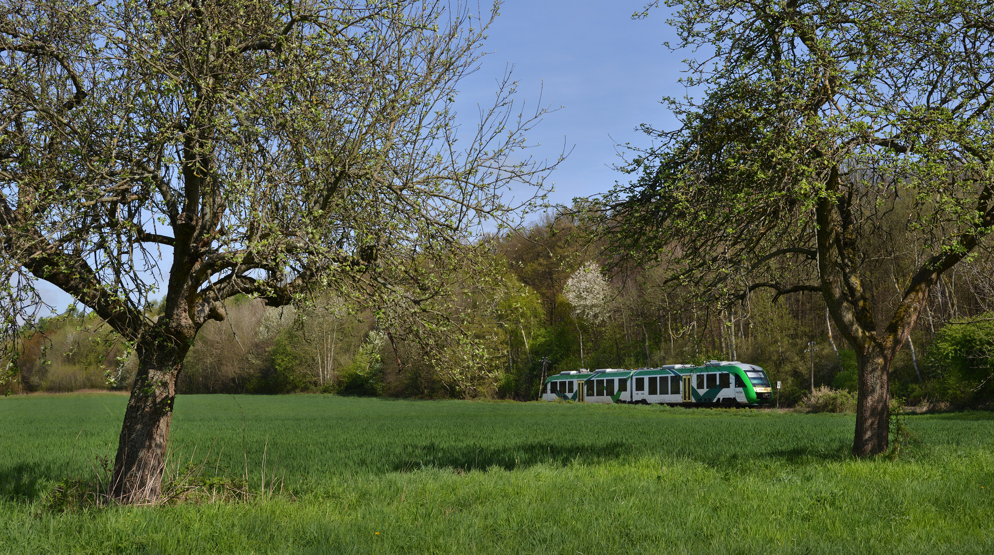 Vorfrühlingsidyll im Taunus