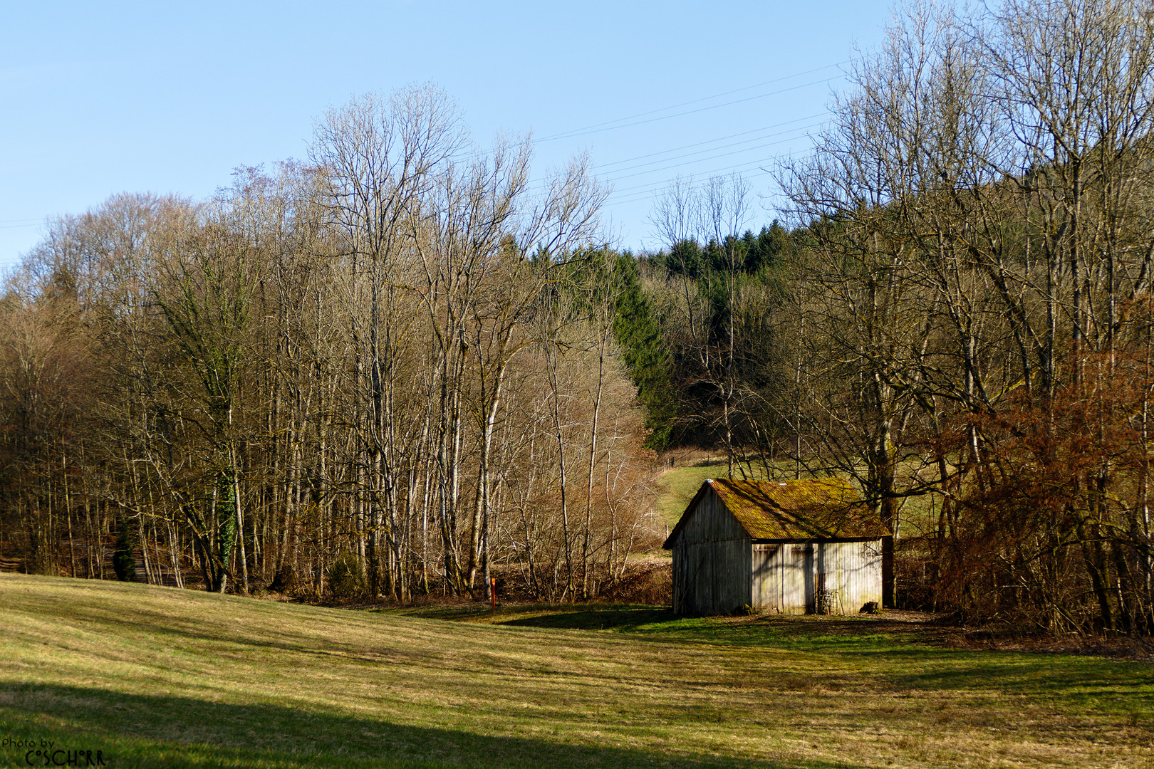 Vorfrühlingslandschaft 2