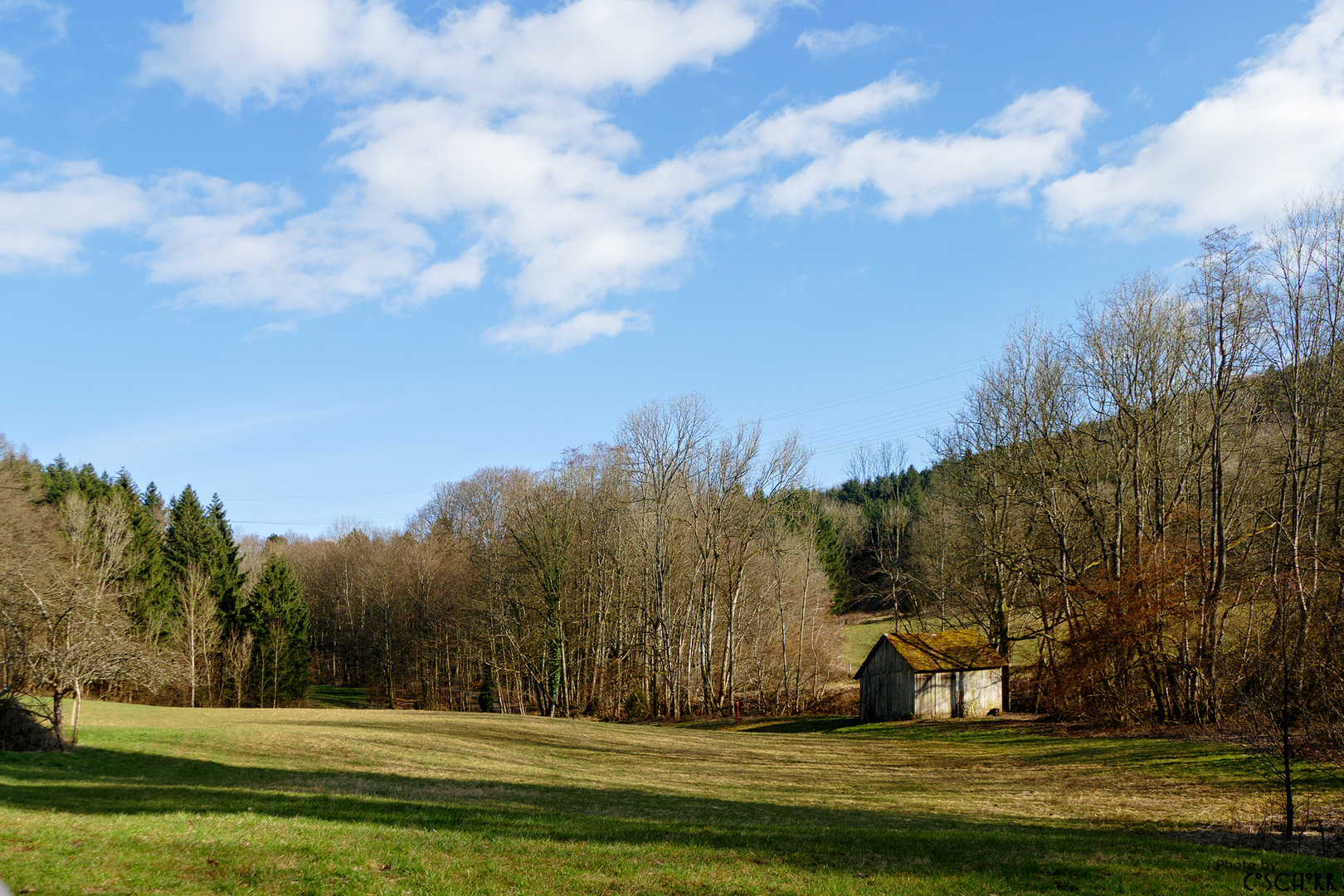 Vorfrühlingslandschaft