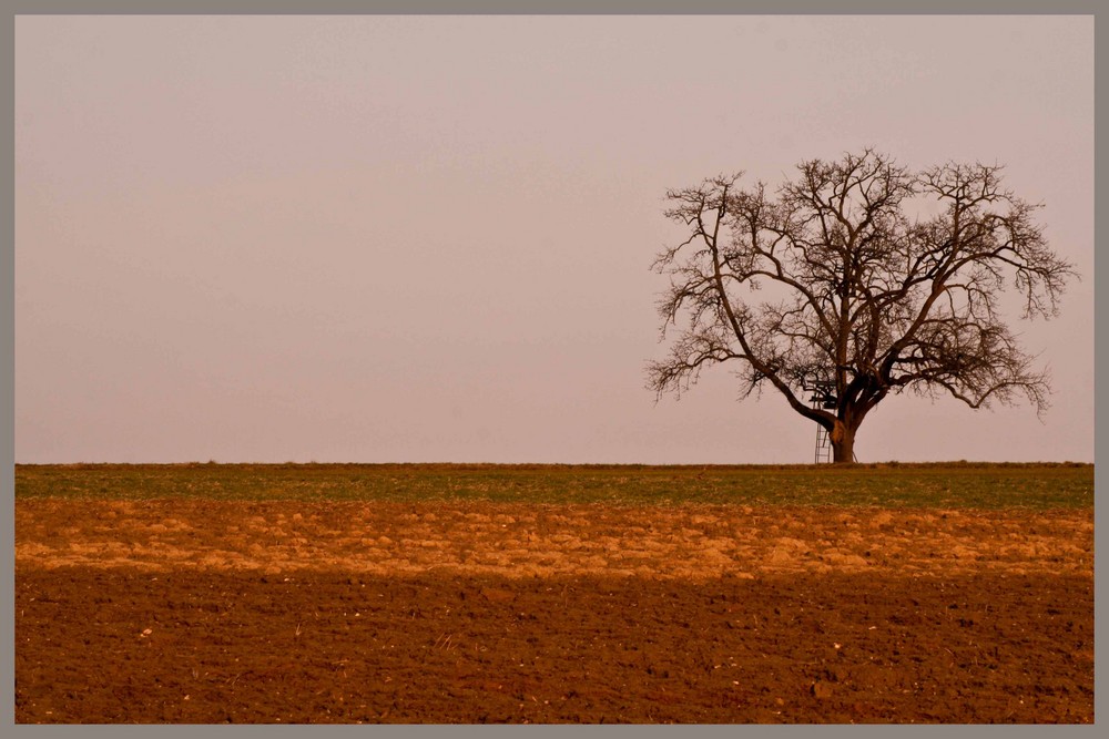 Vorfrühlingslandschaft