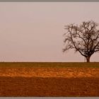 Vorfrühlingslandschaft