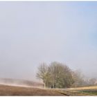 Vorfrühlingslandschaft , mit aufsteigenden Nebeln 