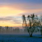 Vorfrühlingsmorgen