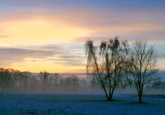 Vorfrühlingsmorgen