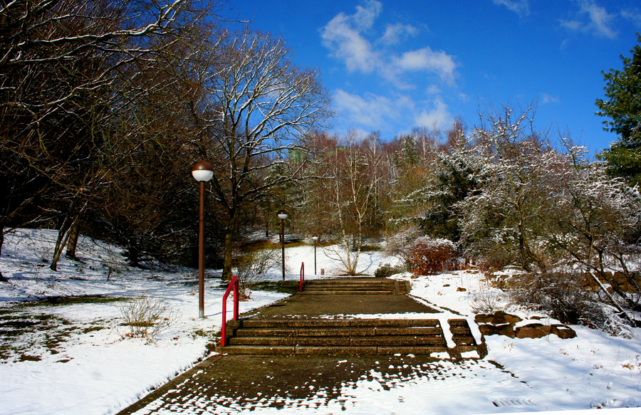 "Vorfrühlingsspaziergang" am 06.03.2010...