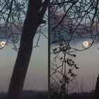 Vorfrühlingsvollmond