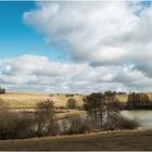 Vorfühling am Bucher Stausee