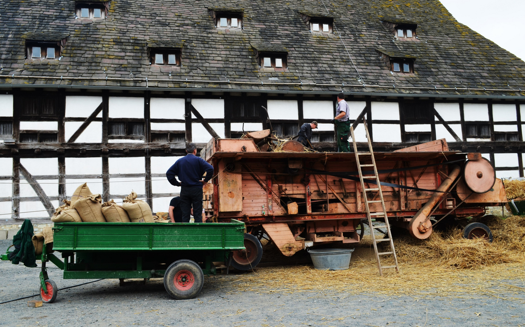 Vorführung Dreschmaschine , dampfgetrieben