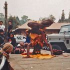 Vorführung eines Brahmanen (3)