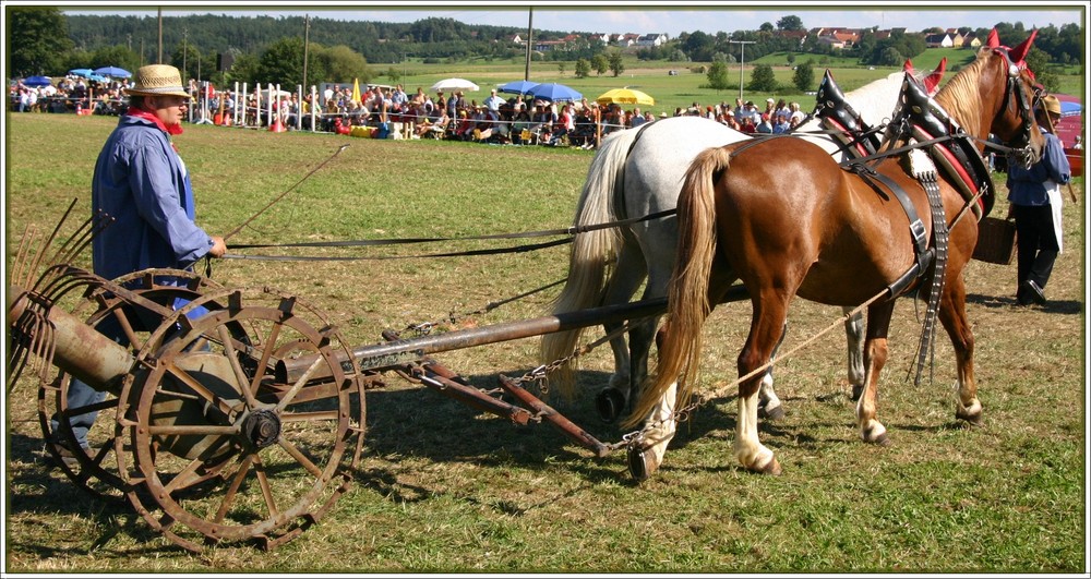 Vorführung2: