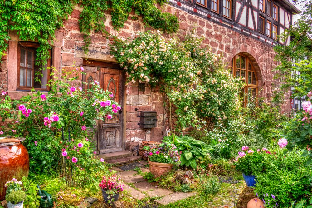 Foto & Bild landschaft, garten & parklandschaften, blumen