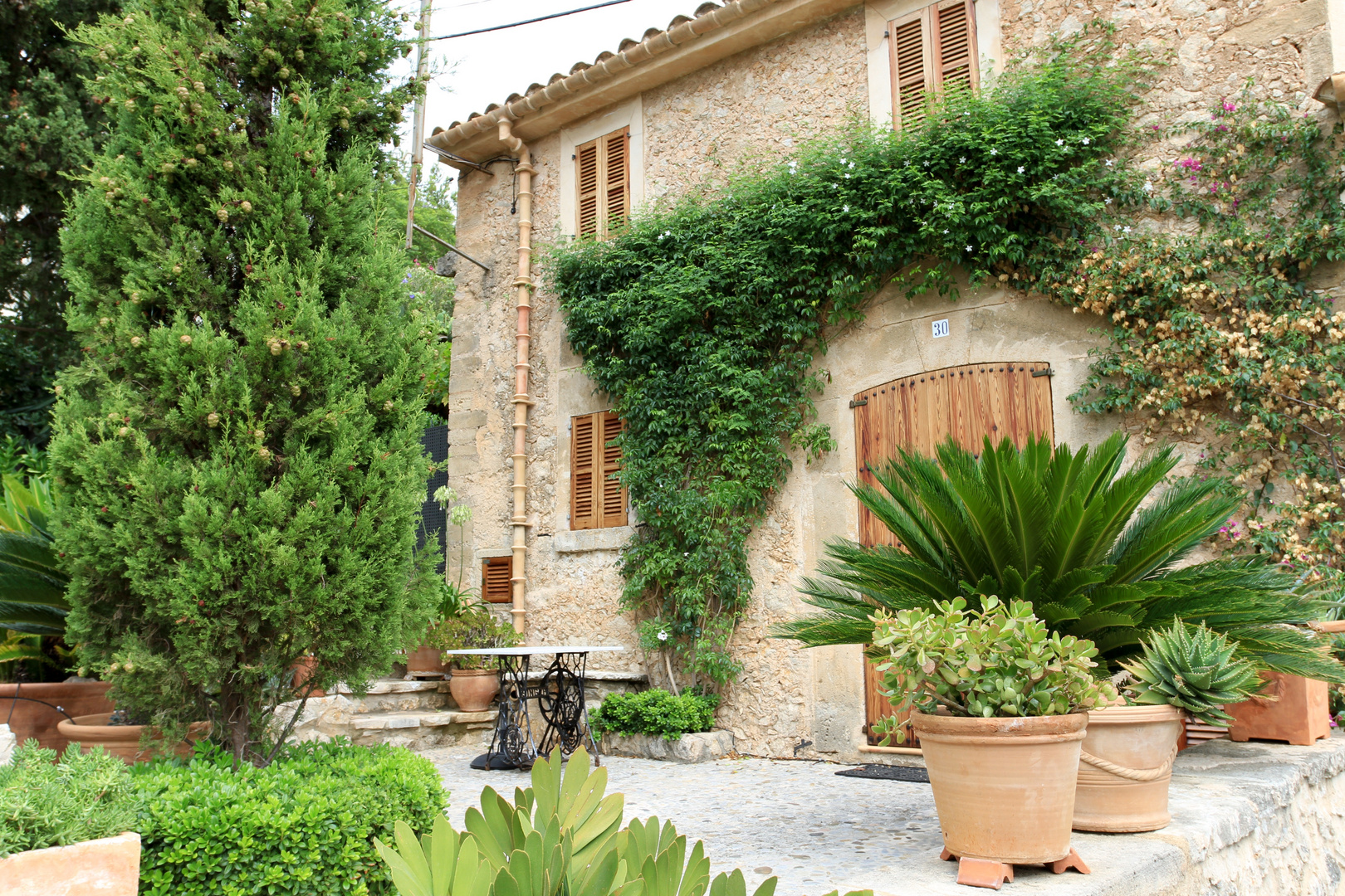 Vorgarten eines Hauses in Pollença, Mallorca