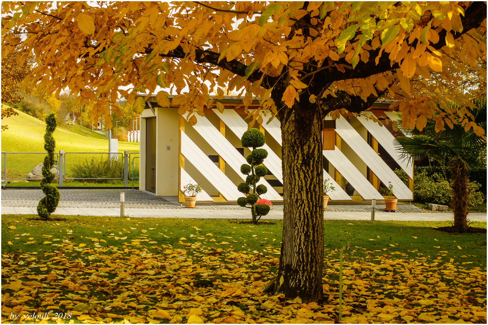 Vorgarten im Herbst