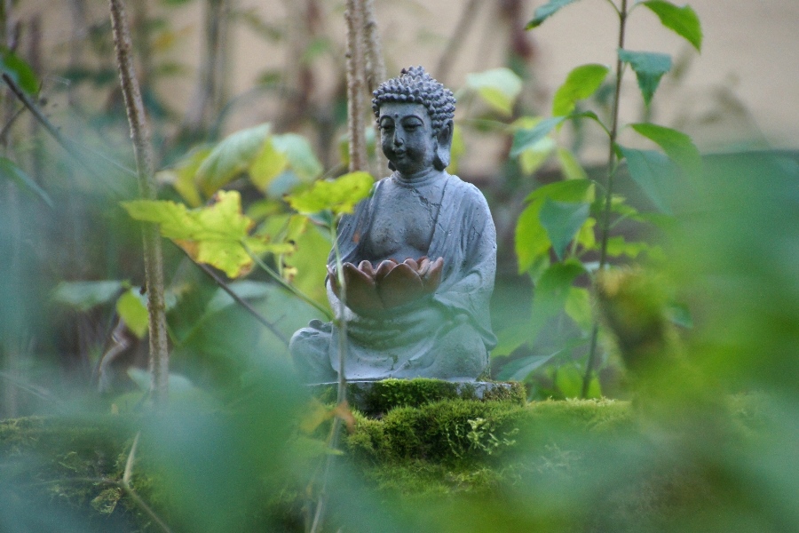 Vorgartenbuddha