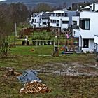 Vorgartenidylle im Januar