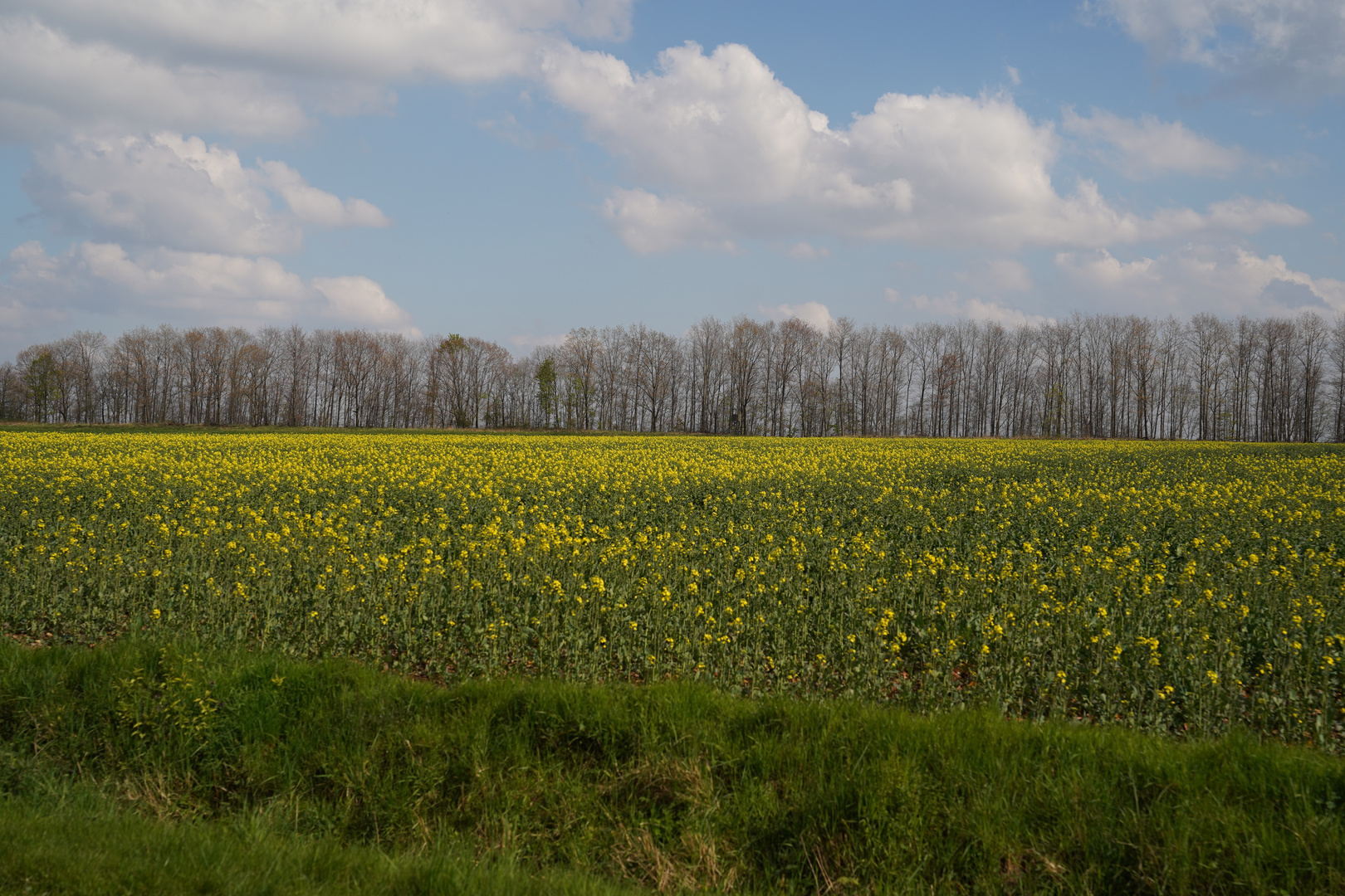 Vorgebirge